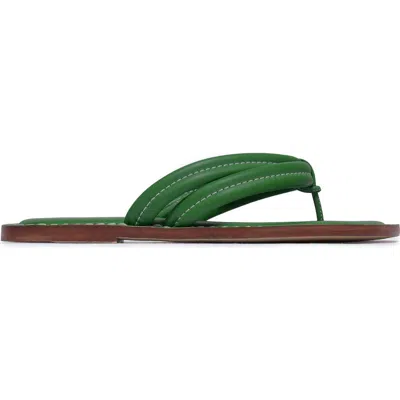 Bernardo Footwear Miami Thong Sandal In Green