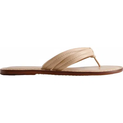 Bernardo Footwear Miami Thong Sandal In Peony