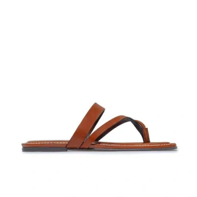 Bernardo Footwear Ocana Toe Ring Sandal In Brown