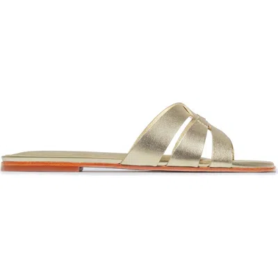 Bernardo Footwear Oxford Flat Sandal In Gold
