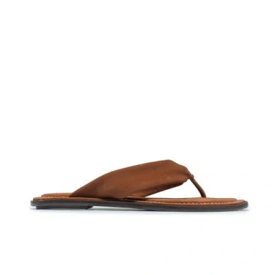 Bernardo Footwear Salt Thong Sandal In Brown