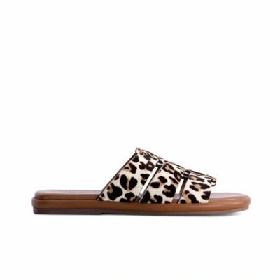 Bernardo Footwear Tamer Haircalf Slip-on Sandal In Cream Leopard