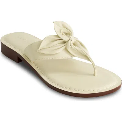 Bernardo Footwear Taormina Thong Sandal In Eggshell