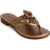 Bernardo Footwear Taormina Thong Sandal In Light Pewter