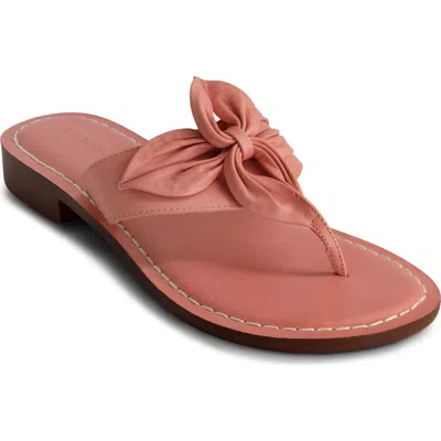 Bernardo Footwear Taormina Thong Sandal In Petal