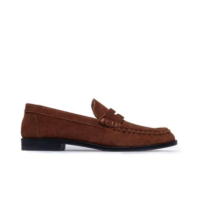Bernardo Footwear Tilda Penny Loafer In Brown