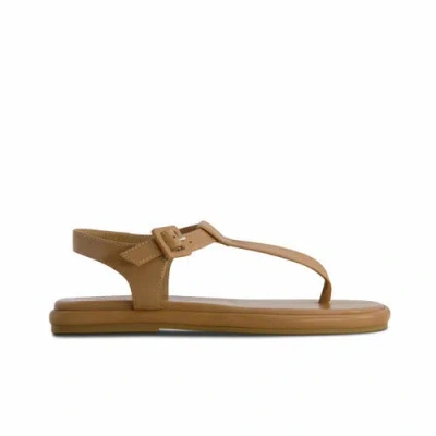 Bernardo Footwear Tucson T-strap Sandal
