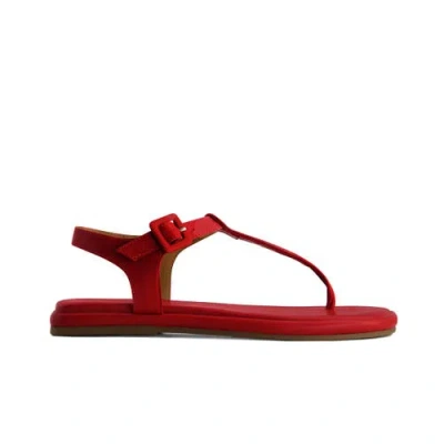 Bernardo Footwear Tucson T-strap Sandal In Red