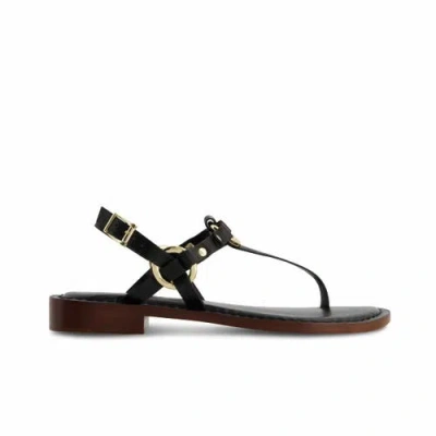 Bernardo Footwear Tuni T-strap Sandal In Black