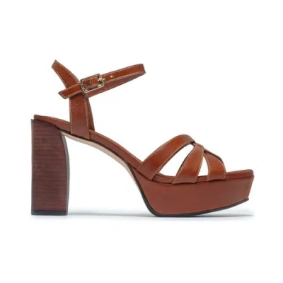 Bernardo Footwear Vittor Platform Sandal In Brown
