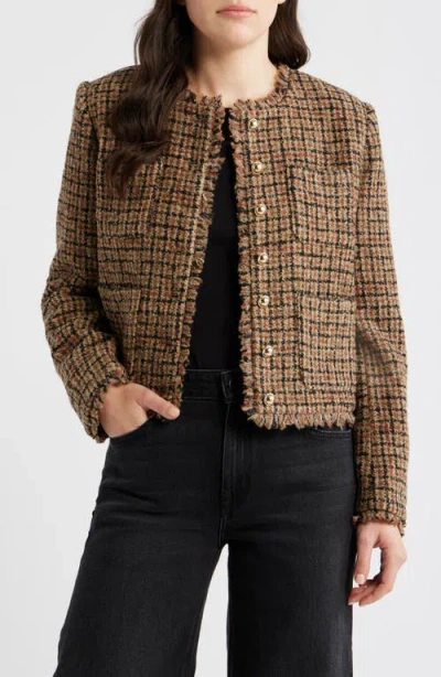 Bernardo Fringe Crop Cotton Tweed Jacket In Brown