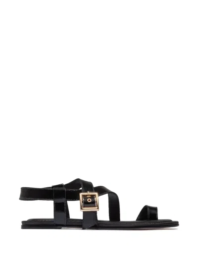 Bernardo Hartshorn Toe-ring Buckle Flat Sandals In Black