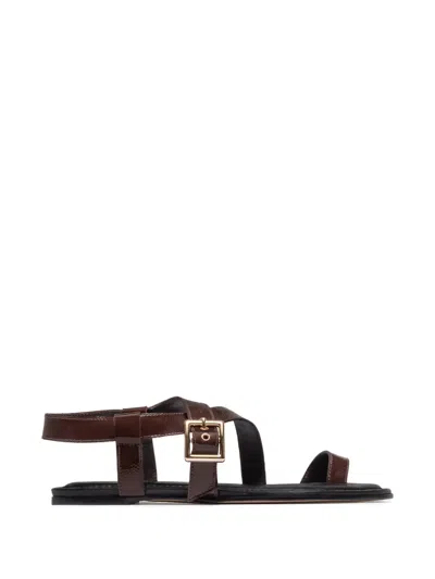 Bernardo Hartshorn Toe-ring Buckle Flat Sandals In Brown