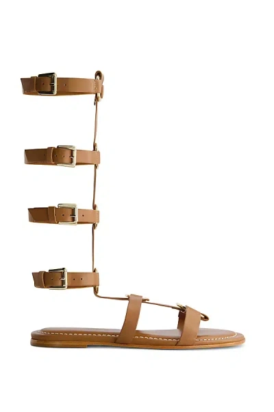 BERNARDO HERO GLADIATOR SANDALS