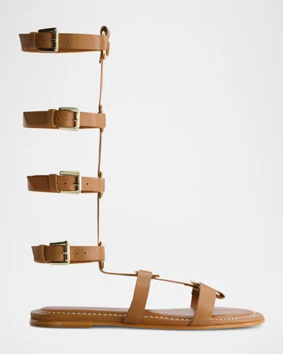 Bernardo Hero Leather Tall Gladiator Sandals In Brown