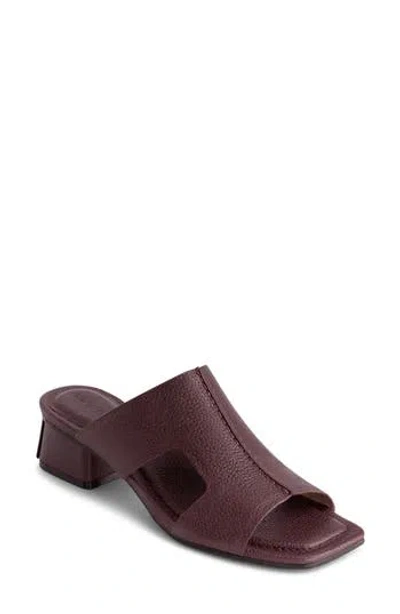 Bernardo Jewel Low Block Heel Sandal In Burgundy