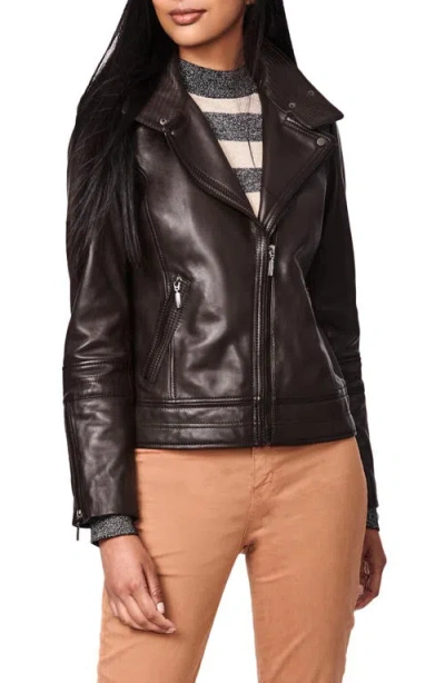 Bernardo Leather Moto Jacket In Brown
