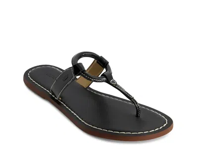 Bernardo Matrix Sandal In Black