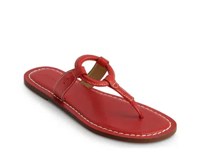 Bernardo Matrix Sandal In Red