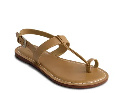 Bernardo Maverick Sandal In Multi
