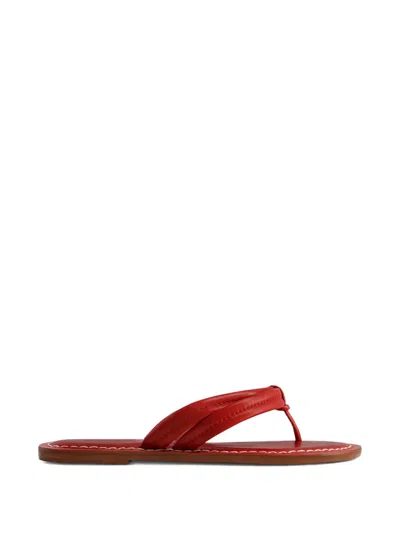 Bernardo Footwear Miami Thong Sandal In Multi