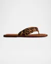 Bernardo Miami Leopard Flat Thong Sandals In Natural Leopard Haircalf
