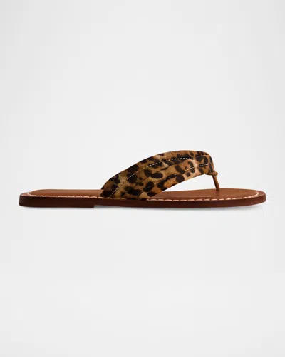 Bernardo Miami Leopard Flat Thong Sandals In Multicolor