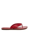 Bernardo Miami Sandal In Red
