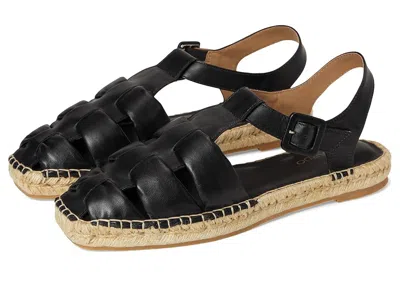 Bernardo Monri In Black