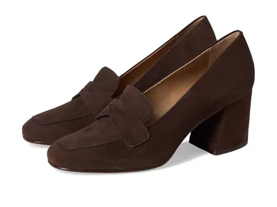 Bernardo Nessa High In Brown