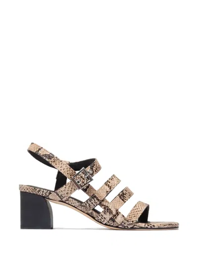 Bernardo Novi Strappy Buckle Sandals In Animal Print