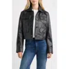 Bernardo Short Leather Jacket In Black