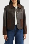 Bernardo Short Mixed Media Leather Jacket In Brown