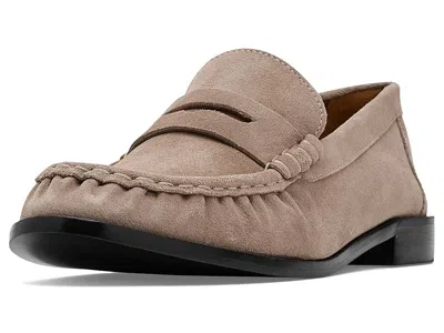 Bernardo Tilda In Brown