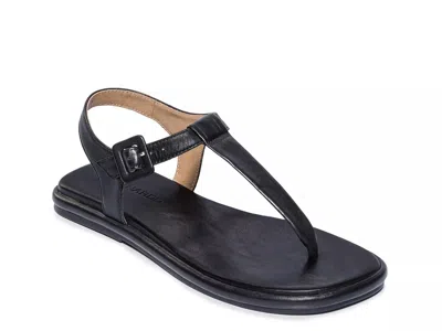 Bernardo Tucson Sandal In Black