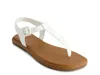 Bernardo Tucson Sandal In Multi