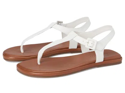 Bernardo Tucson In White