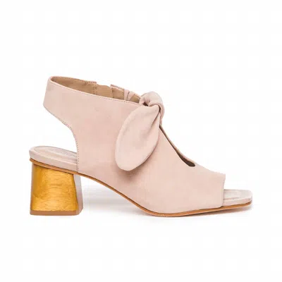 Bernardo Women's Lizzie Bootie - Medium In Blush Kid Suede In Multi