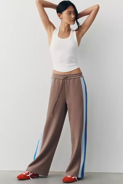 Bernardo Zip-up Track Pants In Beige