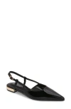 Berness Cass Pointed Toe Flat In Black