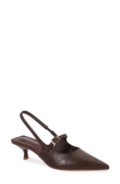 Berness Corrie Pointed Toe Buckle Slingback Kitten Heel Pump In Brown