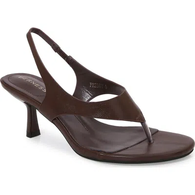 Berness Freddy Kitten Heel Thong Sandal In Brown