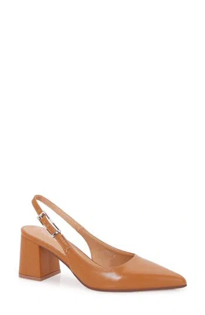 Berness Pointed Toe Slingback Pump In Brown