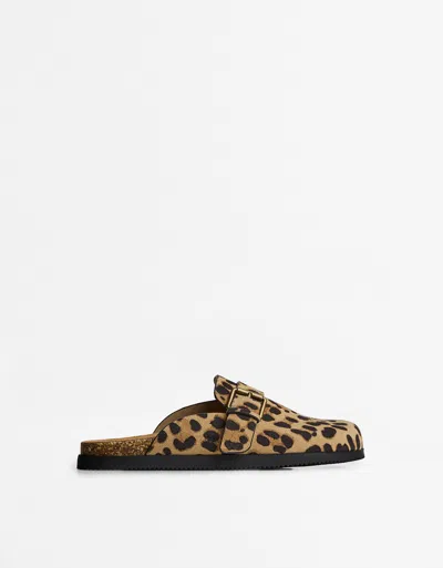 Bershka Animal Print Leather Clogs With Buckle In Brown