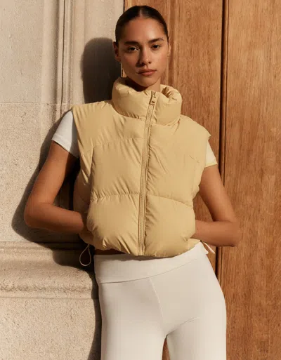 Bershka Cropped Gilet In Brown