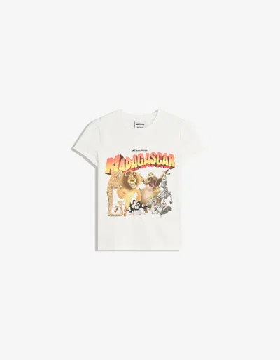 Bershka Madagascar Short Sleeve T-shirt In Multi
