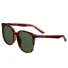 Bertha Women's Brsbr050c2 55mm Polarized Sunglasses In Tortoise/forest Green
