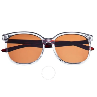 Bertha Ladies Transparent Round Sunglasses Brsbr050c5 In Brown