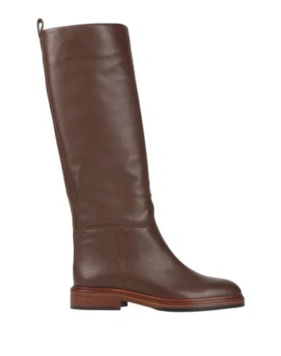 Bervicato Woman Boot Chocolate Brown Size 7 Calfskin