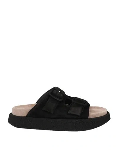 Bervicato Woman Sandals Black Size 6 Leather, Textile Fibers